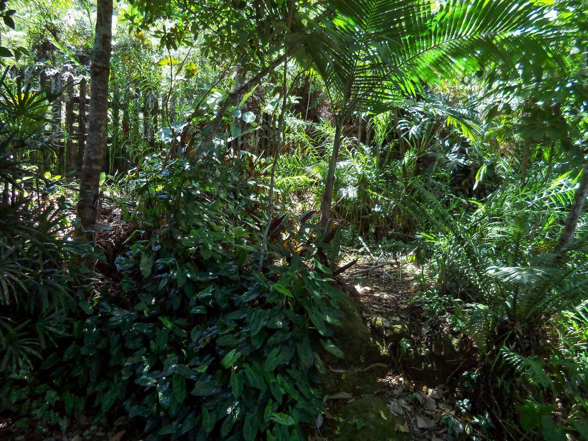 Laguna Guarujá Eksteriør billede